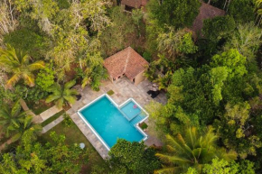 Raindrops Resorts Wayanad